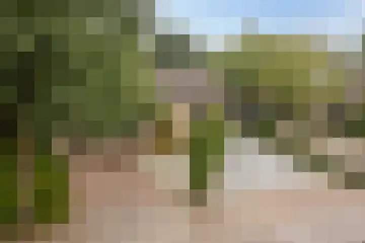 Rogstraat 37 Herpen thumbnail 41