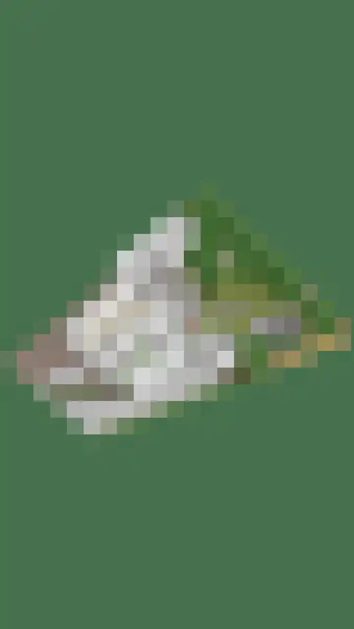 Rogstraat 37 Herpen thumbnail 43