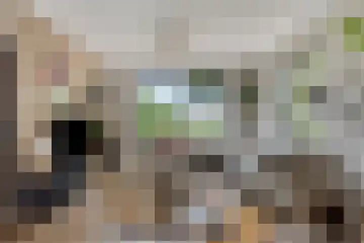 Rogstraat 37 Herpen thumbnail 6
