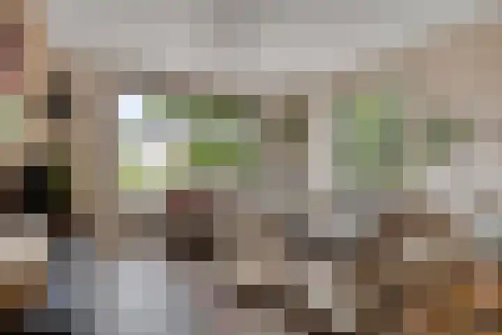 Rogstraat 37 Herpen thumbnail 8