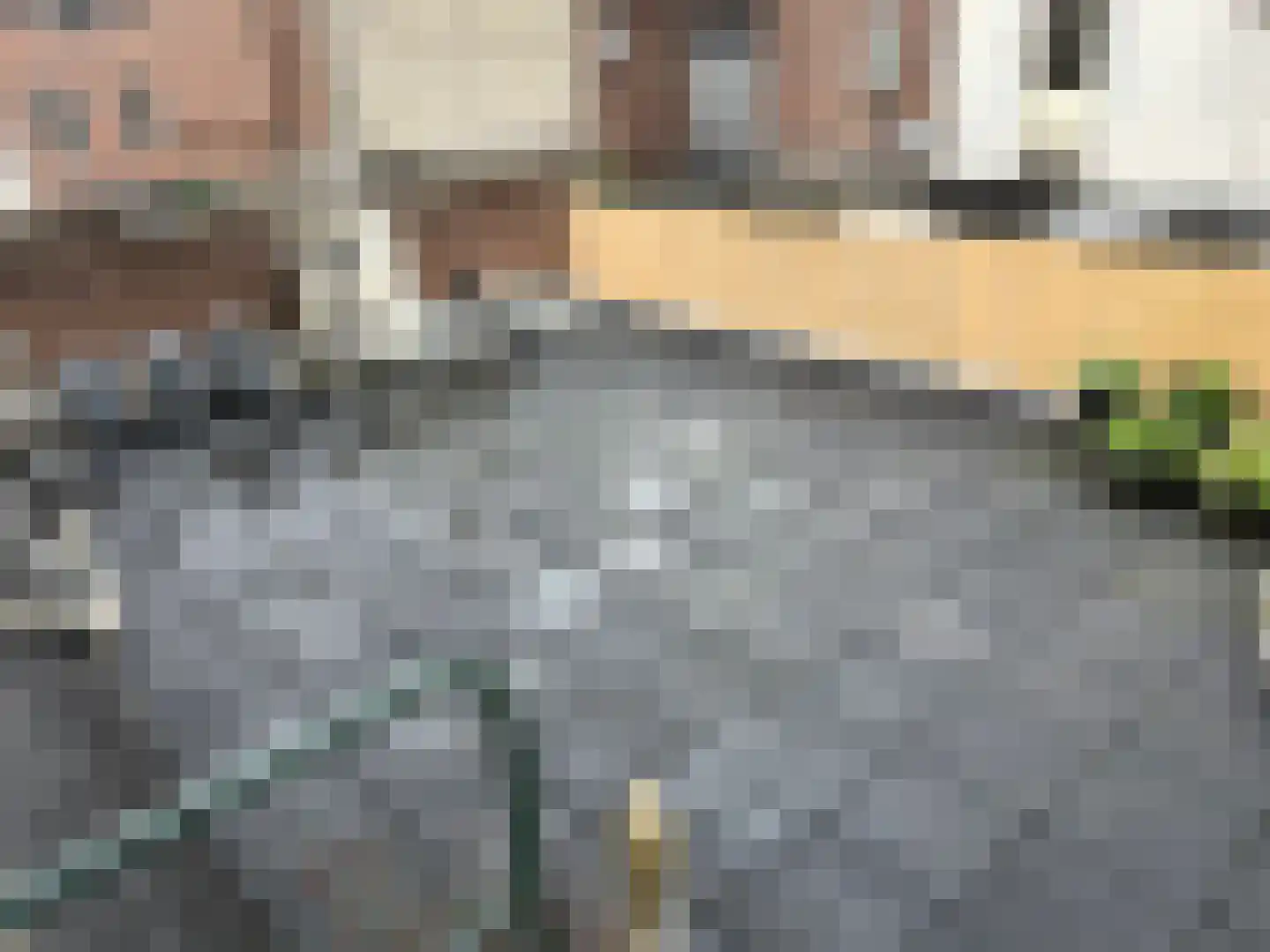 Rogstraat 41 Grave thumbnail 14