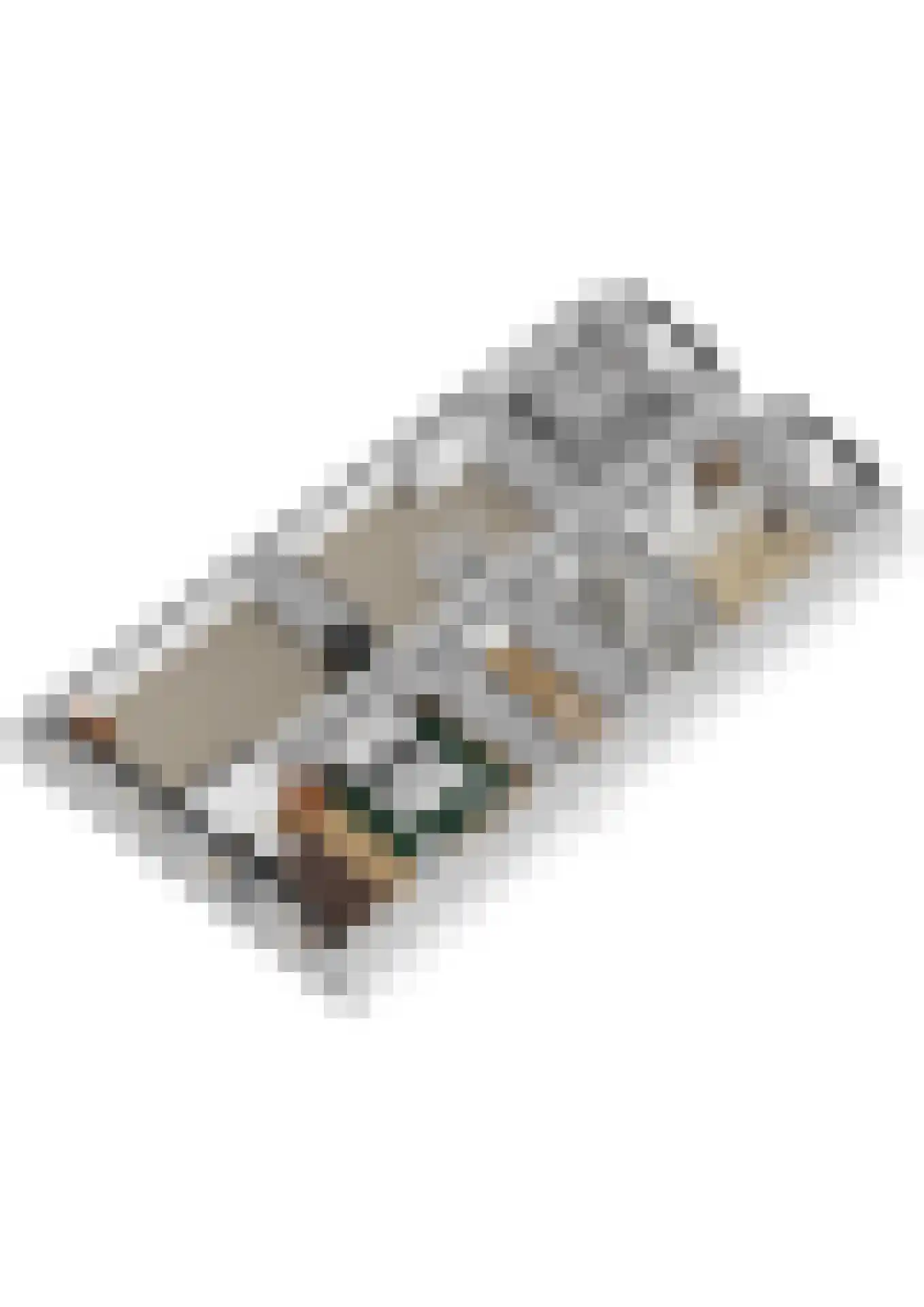 Rogstraat 41 Grave thumbnail 32