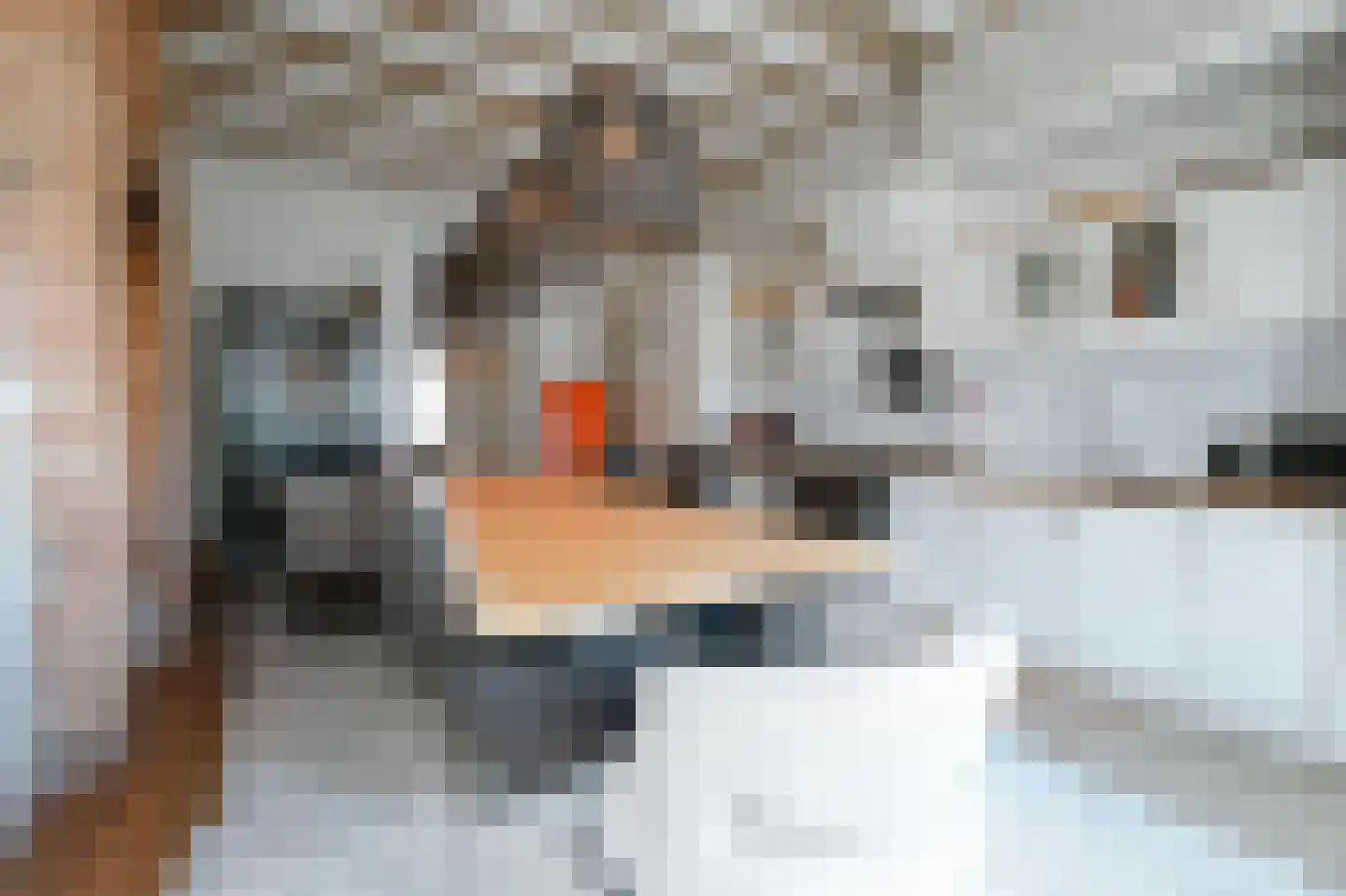Rogstraat 41 Grave thumbnail 9