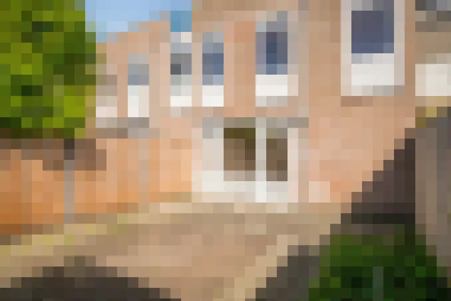 Rogstraat 6 Helmond thumbnail 33