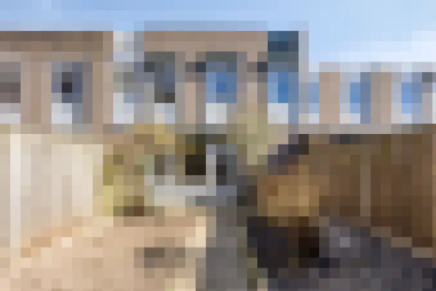 Rogstraat 9 Helmond thumbnail 37