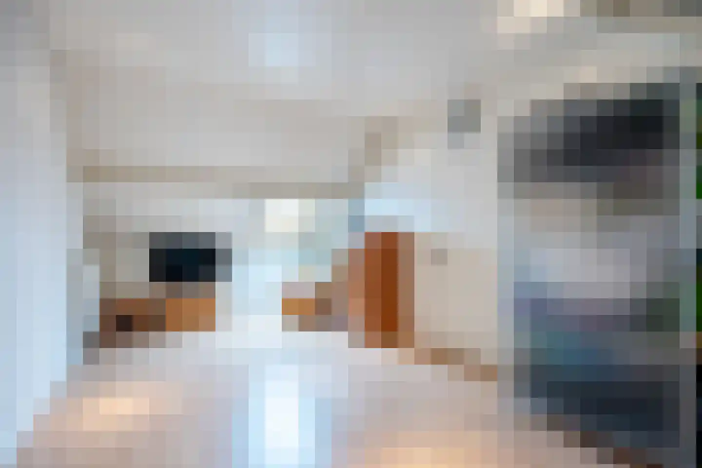 Rogvelden 12 Best thumbnail 24