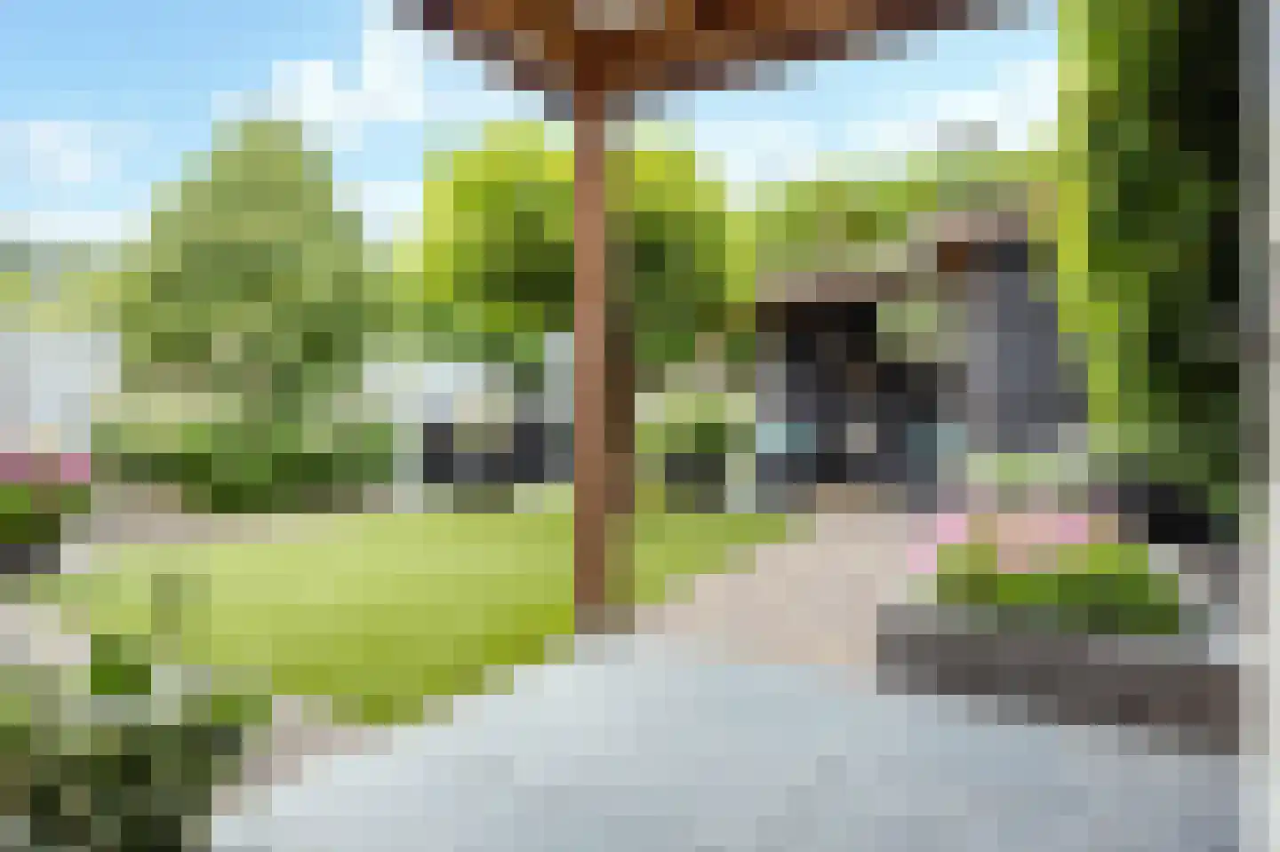Rogvelden 12 Best thumbnail 32