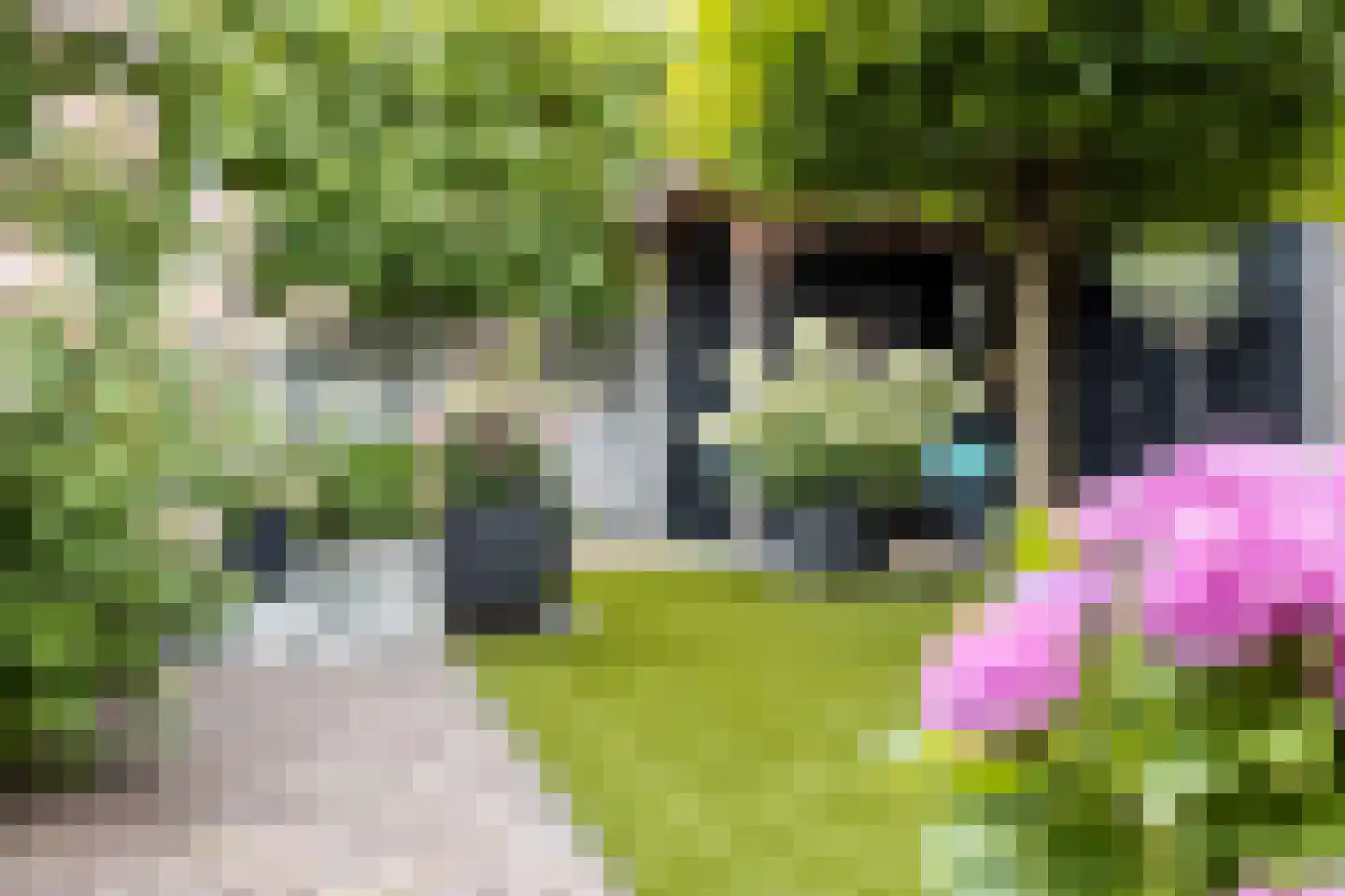 Rogvelden 12 Best thumbnail 33