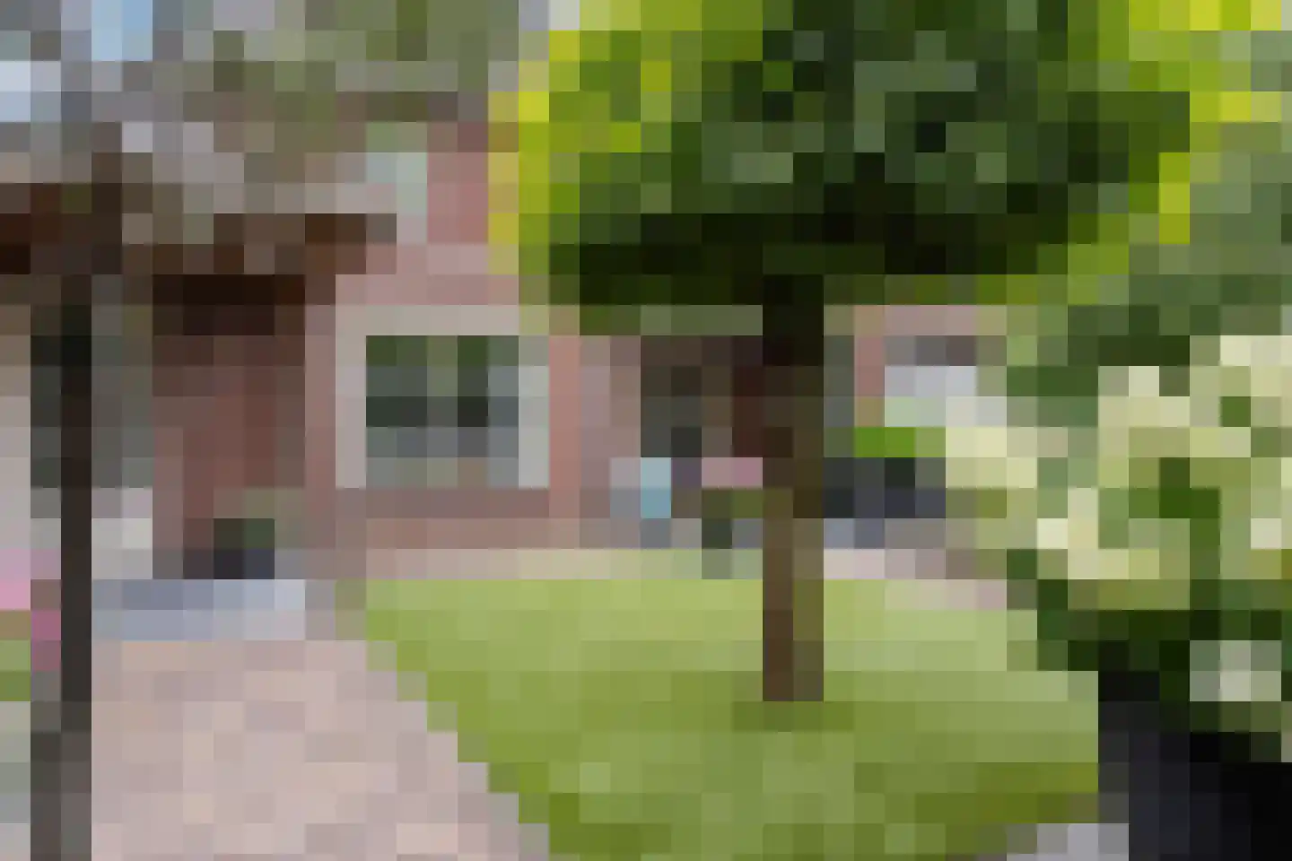 Rogvelden 12 Best thumbnail 34