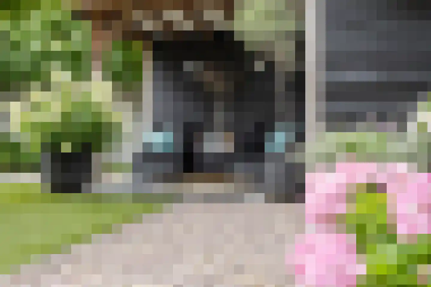 Rogvelden 12 Best thumbnail 38