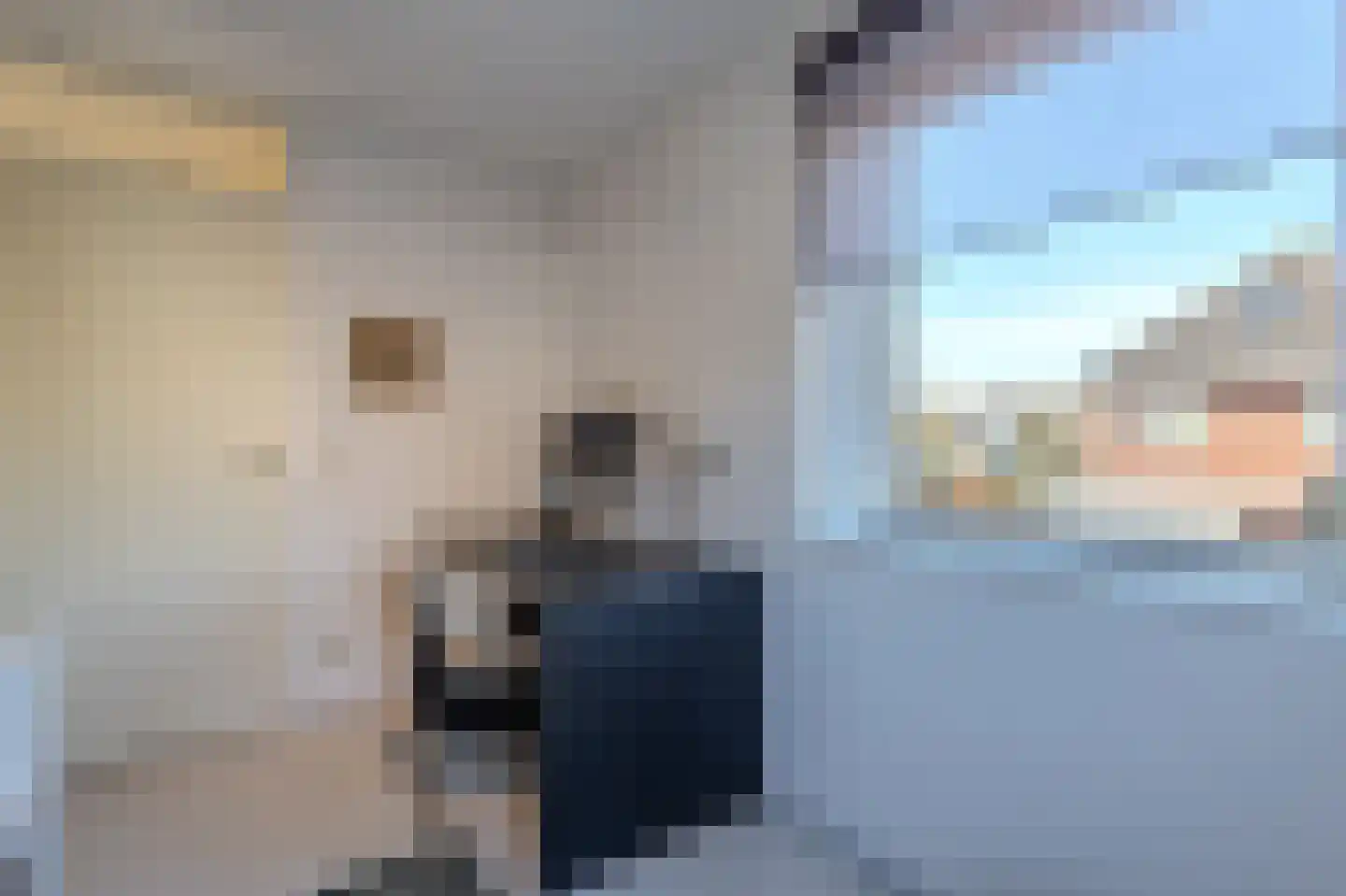 Rogvelden 15 Best thumbnail 22