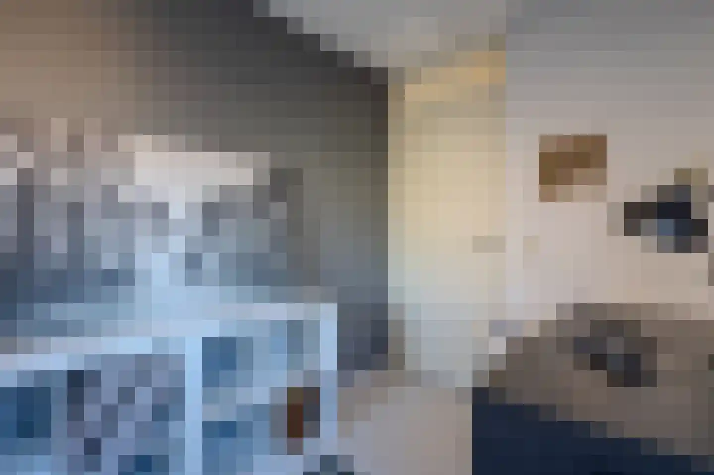 Rogvelden 15 Best thumbnail 24