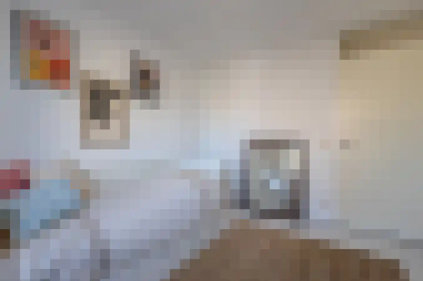 Rogvelden 15 Best thumbnail 25