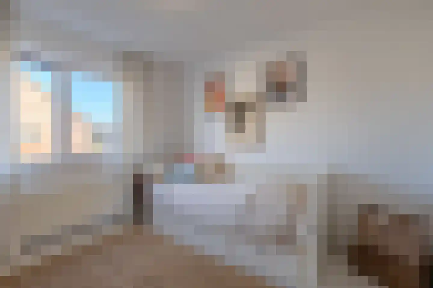 Rogvelden 15 Best thumbnail 27