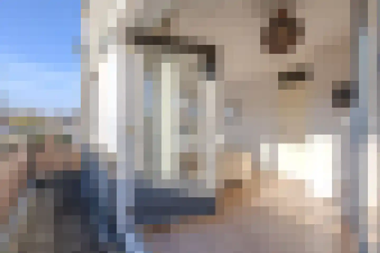 Rogvelden 15 Best thumbnail 33
