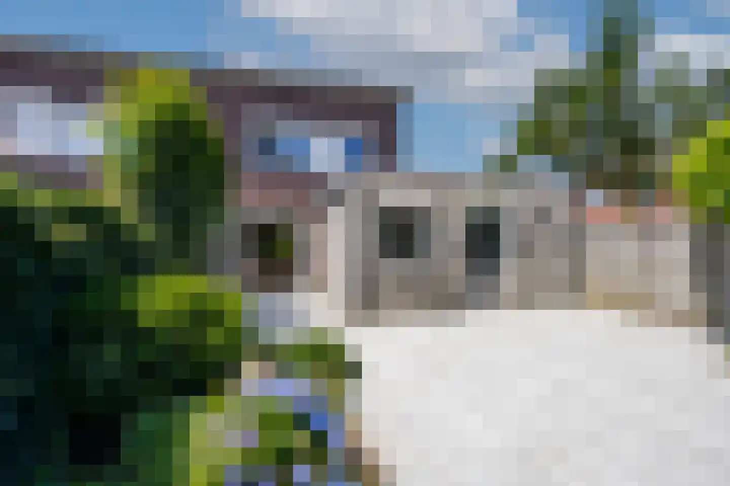 Rogvelden 15 Best thumbnail 39