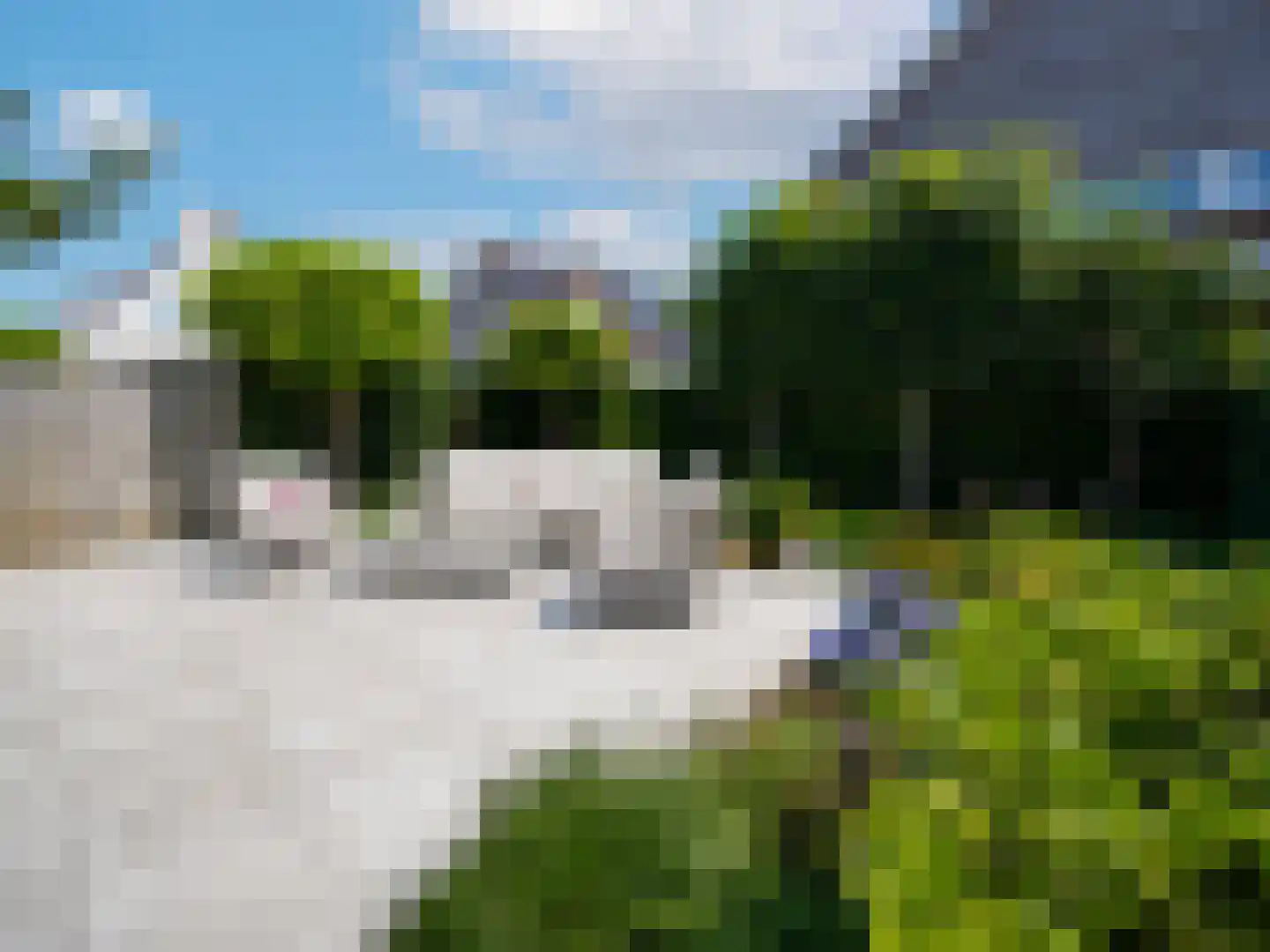 Rogvelden 15 Best thumbnail 41