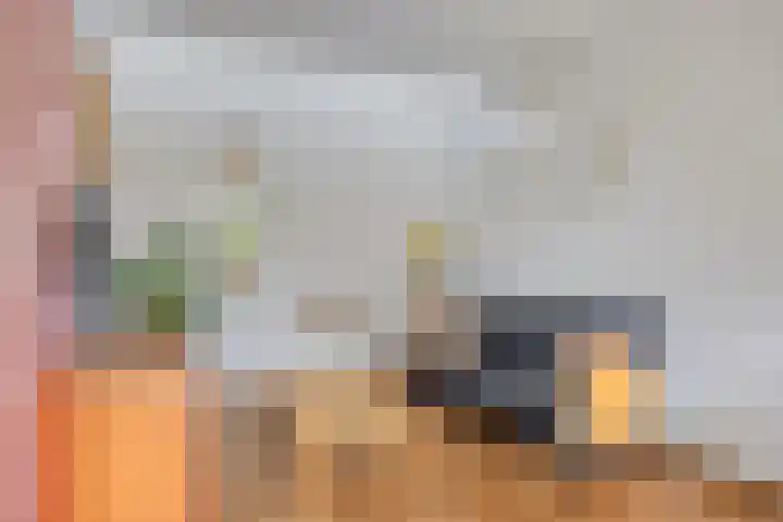 Roijenborg 10 Berlicum thumbnail 11
