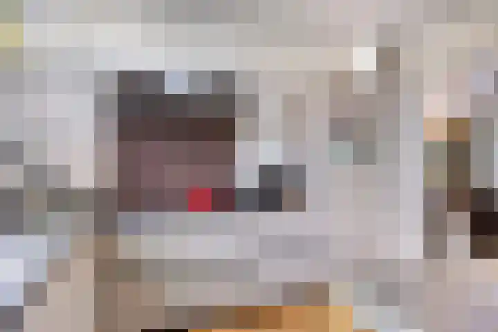Roijenborg 10 Berlicum thumbnail 16