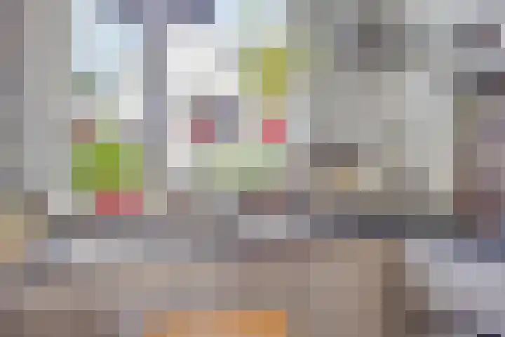 Roijenborg 10 Berlicum thumbnail 17