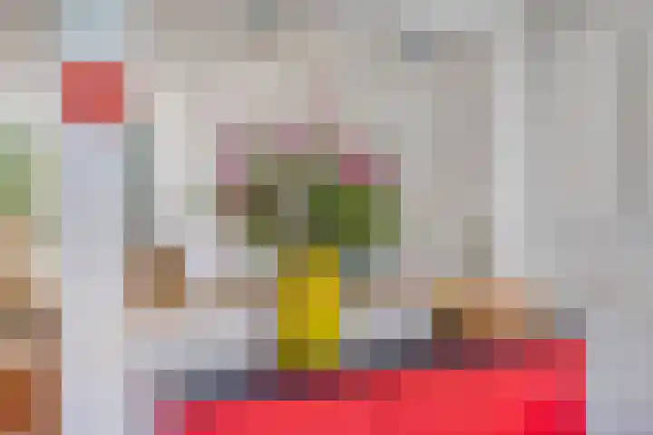 Roijenborg 10 Berlicum thumbnail 18