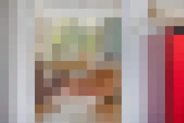 Roijenborg 10 Berlicum thumbnail 19