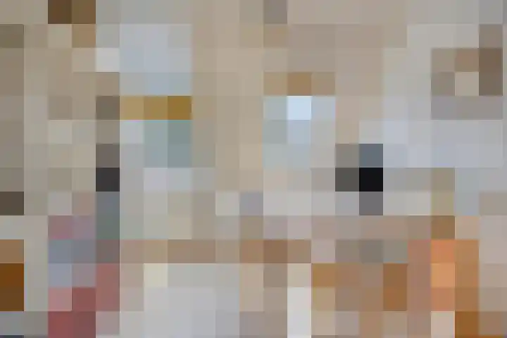 Roijenborg 10 Berlicum thumbnail 24