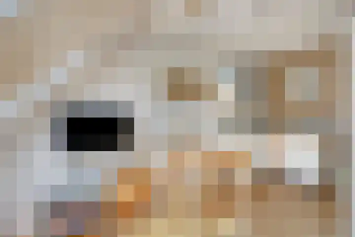 Roijenborg 10 Berlicum thumbnail 25