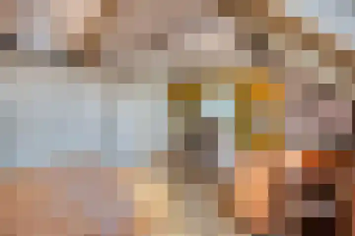 Roijenborg 10 Berlicum thumbnail 27