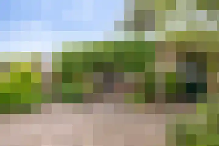 Roijenborg 10 Berlicum thumbnail 28