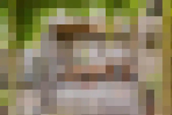 Roijenborg 10 Berlicum thumbnail 29
