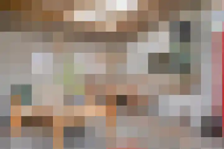 Roijenborg 10 Berlicum thumbnail 30