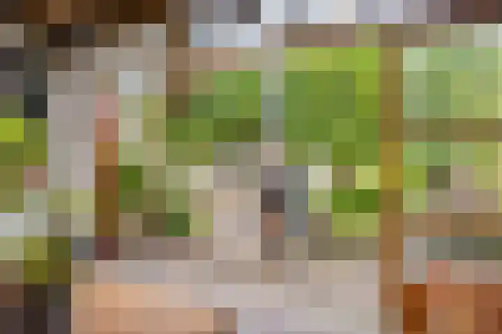 Roijenborg 10 Berlicum thumbnail 31