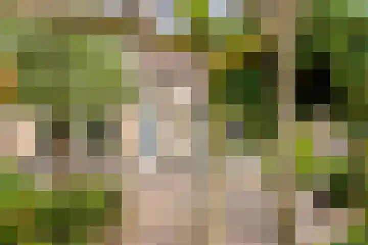 Roijenborg 10 Berlicum thumbnail 33