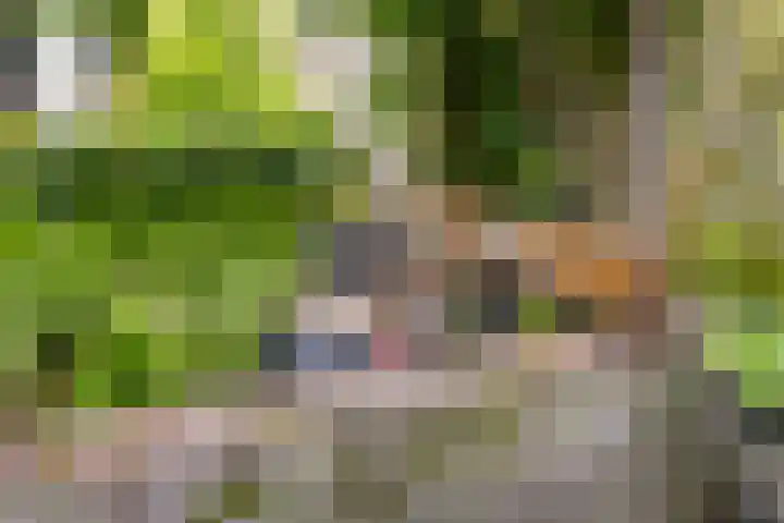 Roijenborg 10 Berlicum thumbnail 34