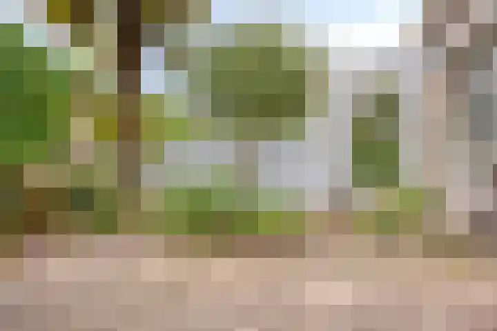 Roijenborg 10 Berlicum thumbnail 35