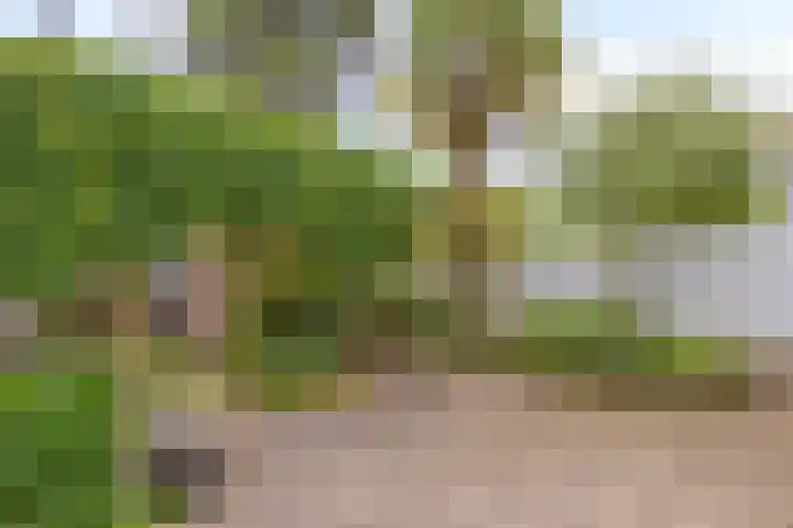 Roijenborg 10 Berlicum thumbnail 39