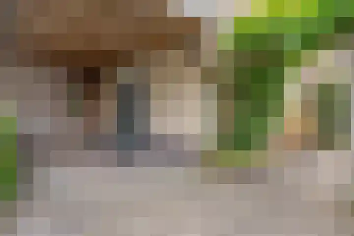 Roijenborg 10 Berlicum thumbnail 40