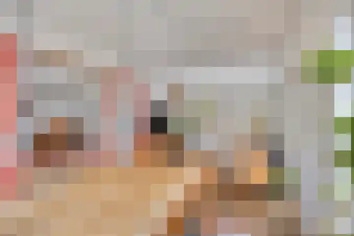 Roijenborg 10 Berlicum thumbnail 9