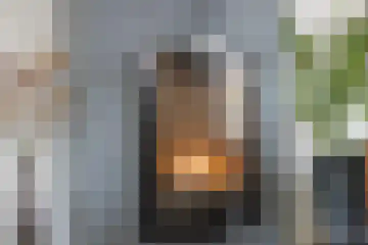 Roijenborg 19 Berlicum thumbnail 10