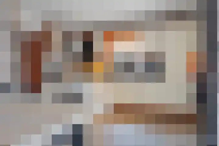 Roijenborg 19 Berlicum thumbnail 13