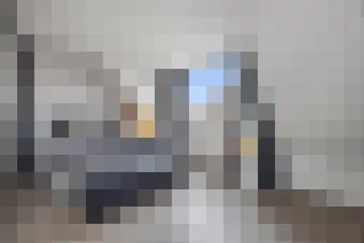 Roijenborg 19 Berlicum thumbnail 21