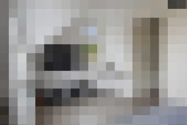 Roijenborg 19 Berlicum thumbnail 22