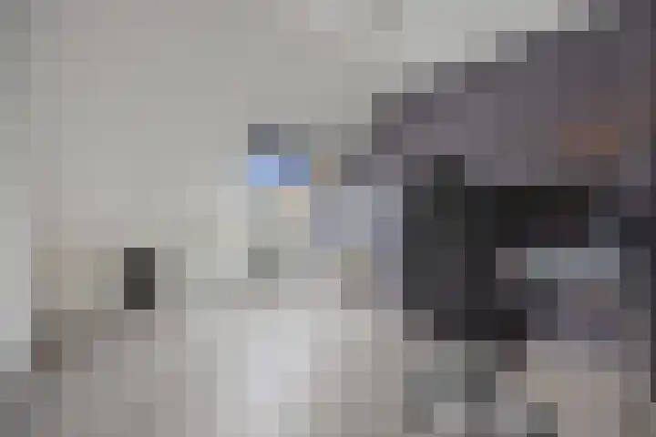 Roijenborg 19 Berlicum thumbnail 23