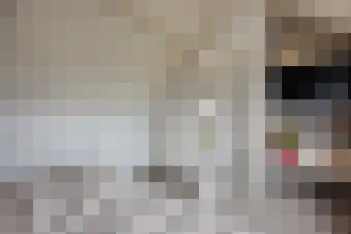 Roijenborg 19 Berlicum thumbnail 30