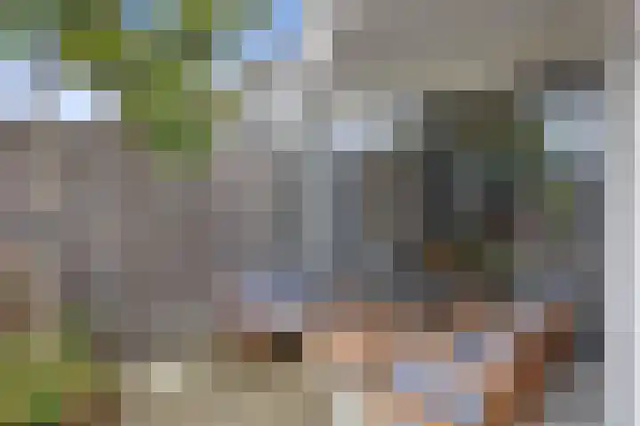 Roijenborg 19 Berlicum thumbnail 32