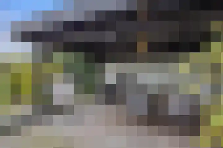 Roijenborg 19 Berlicum thumbnail 34