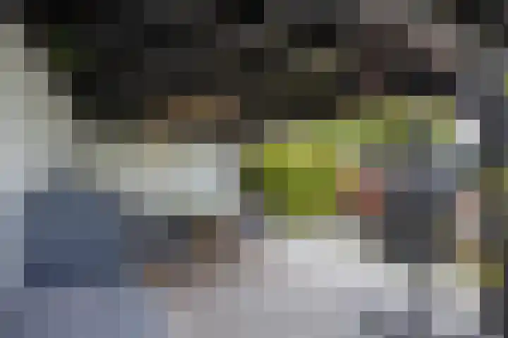Roijenborg 19 Berlicum thumbnail 35