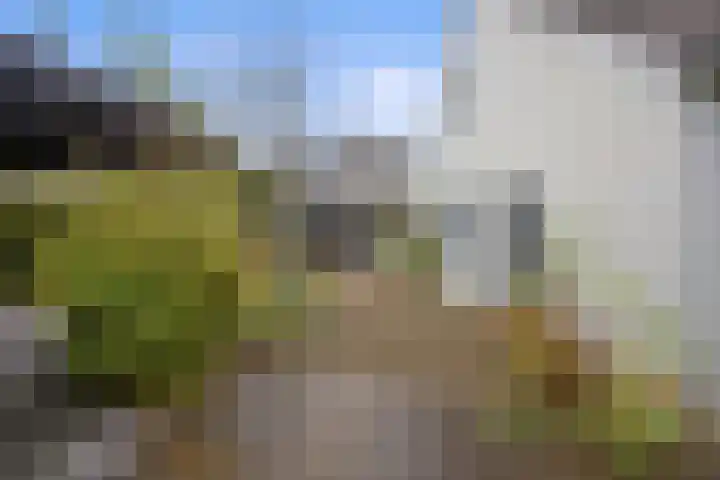 Roijenborg 19 Berlicum thumbnail 36