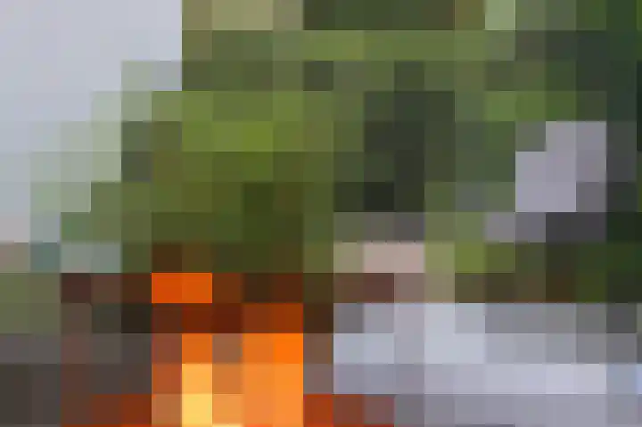 Roijenborg 19 Berlicum thumbnail 37